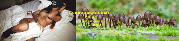 мяу мяу мука Алексин