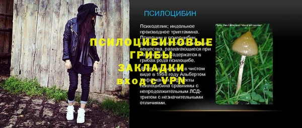 мяу мяу мука Алзамай